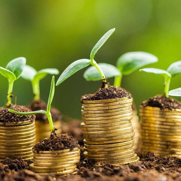 Privé laadpaal leasen